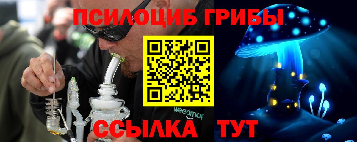 как найти закладки  Галлюциногенные грибы Psilocybine cubensis  Вход с VPN  Галлюциногенные грибы Psilocybe  Муром 
